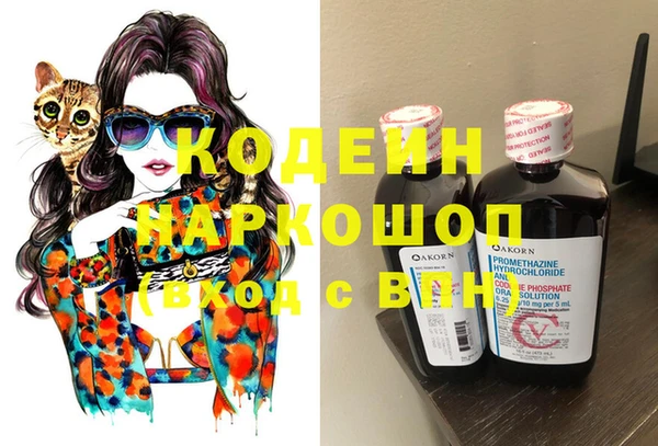 крисы Няндома
