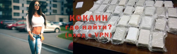 индика Новокубанск