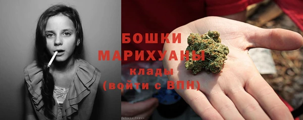 крисы Няндома