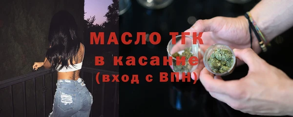 индика Верхний Тагил