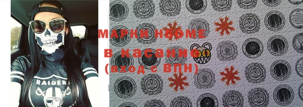 индика Новокубанск