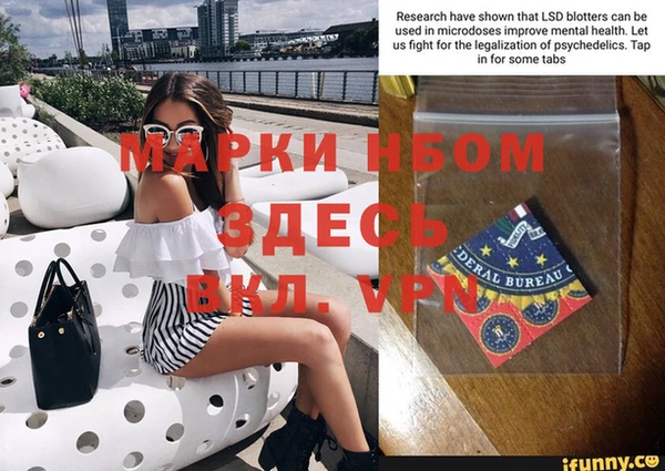 индика Новокубанск