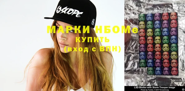 индика Новокубанск