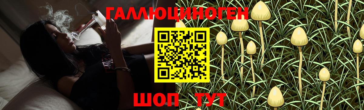 Ялуторовск  Псилоцибиновые грибы MAGIC MUSHROOMS  Вход с VPN  Псилоцибиновые грибы Psilocybine cubensis 