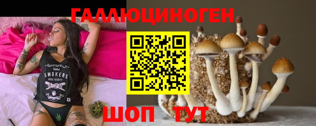 Псилоцибиновые грибы MAGIC MUSHROOMS  Ялуторовск 