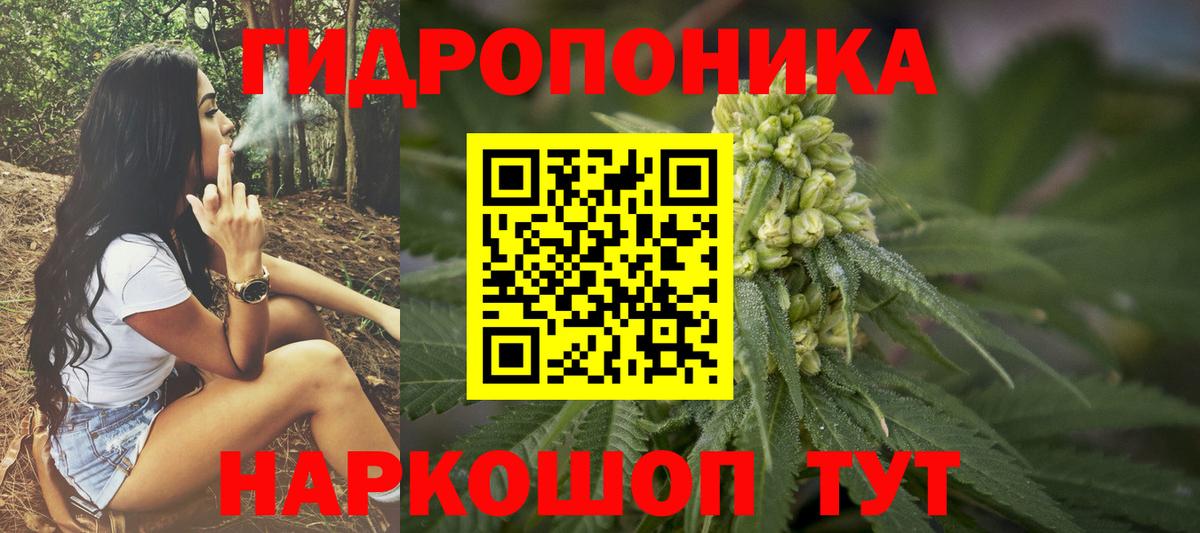 Бошки марихуана AK-47  Ялуторовск  Конопля AK-47  МАРИХУАНА конопля 